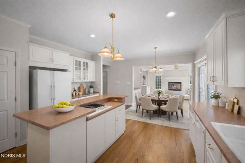 Tiny photo for 26281 Seminary Road, Perrysburg, OH 43551 (MLS # 10005073)