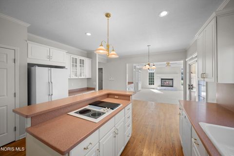 Tiny photo for 26281 Seminary Road, Perrysburg, OH 43551 (MLS # 10005073)