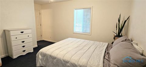 Tiny photo for 319 S Mccord Road, Holland, OH 43528 (MLS # 10000038)