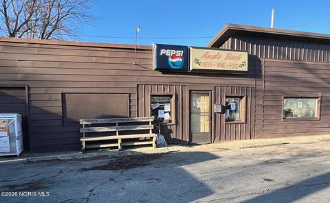 Photo of 20164 Main Street, Upper Sandusky, OH 43351 (MLS # 10003012)