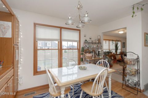 Tiny photo for 14633 Dexter Falls Road, Perrysburg, OH 43551 (MLS # 10004823)