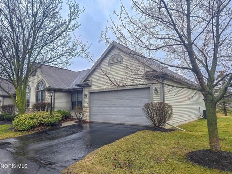 Photo of 14633 Dexter Falls Road, Perrysburg, OH 43551 (MLS # 10004823)