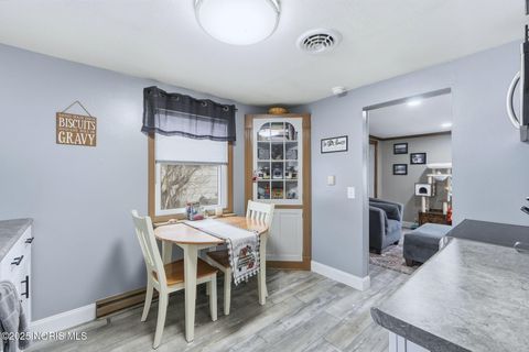 Tiny photo for 410 N Bryan Street, Hicksville, OH 43526 (MLS # 10001683)