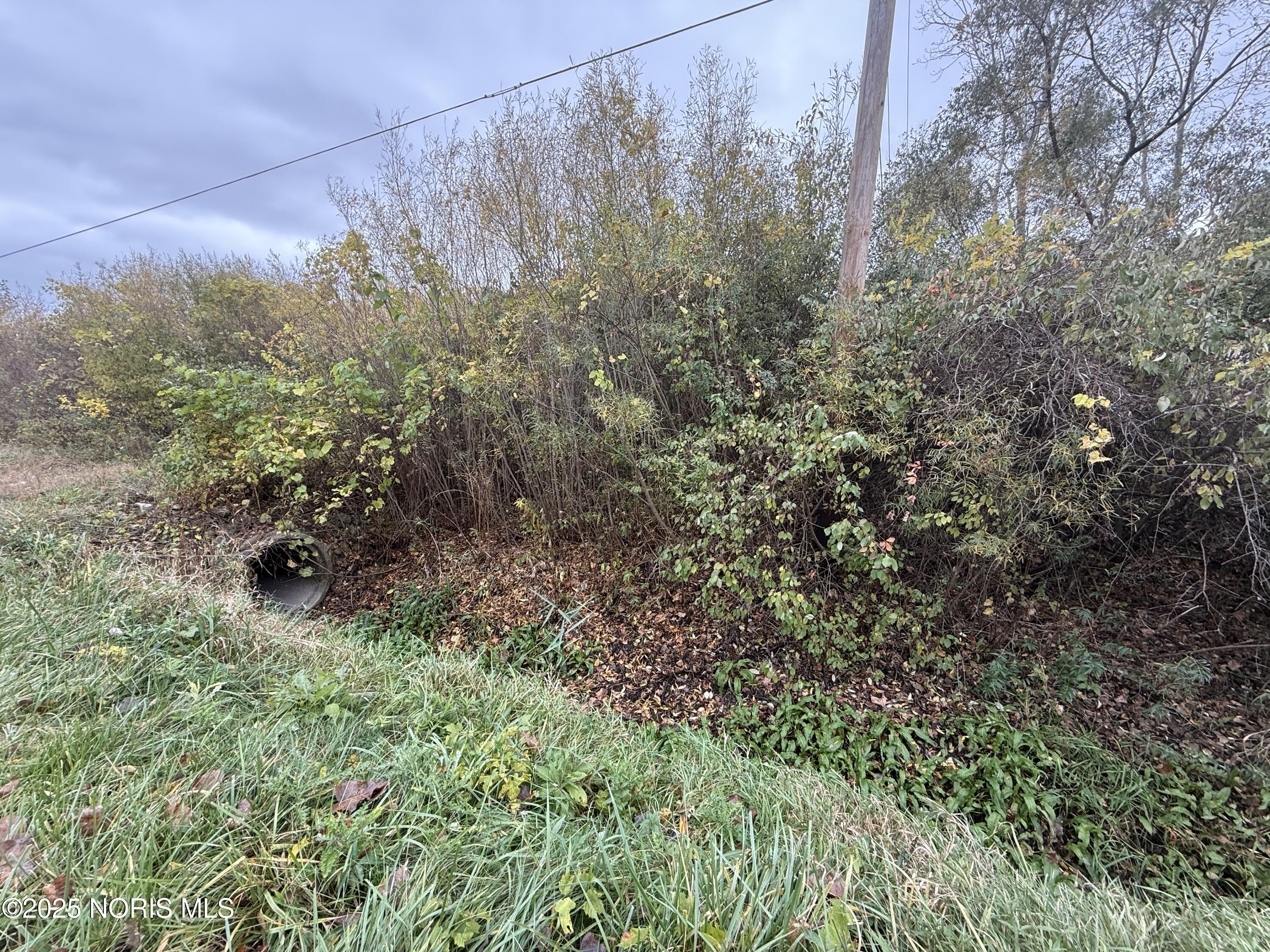 8800 Cedar Point Road