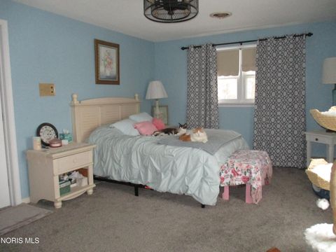 Tiny photo for 13810 Williams County G, Bryan, OH 43506 (MLS # 10004107)