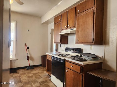 Tiny photo for 231 W Chestnut Street, Wauseon, OH 43567 (MLS # 10005044)