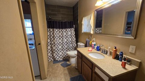 Tiny photo for 338 Carey Street, Napoleon, OH 43545 (MLS # 10004537)