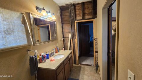 Tiny photo for 338 Carey Street, Napoleon, OH 43545 (MLS # 10004537)