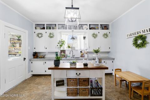 Tiny photo for 221 Eddy Street, Luckey, OH 43443 (MLS # 10002928)