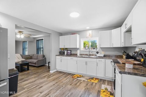 Tiny photo for 208 Mad River Street, Forest, OH 45843 (MLS # 10009326)