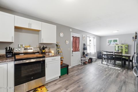 Tiny photo for 208 Mad River Street, Forest, OH 45843 (MLS # 10009326)