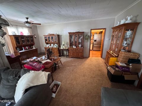 Tiny photo for 205 S Patterson Street, Gibsonburg, OH 43431 (MLS # 10007346)