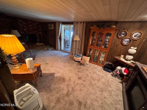 Tiny photo for 205 S Patterson Street, Gibsonburg, OH 43431 (MLS # 10007346)
