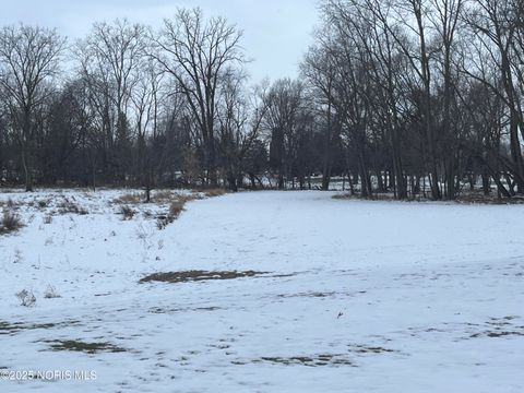 Photo of 0 Mill Street Mill Street, Montpelier, OH 43543 (MLS # 10002313)