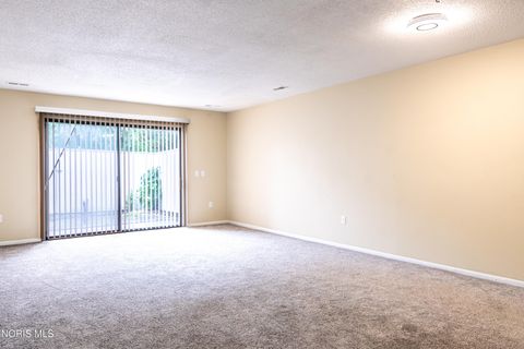 Tiny photo for 2510 W Village Drive, Toledo, OH 43614 (MLS # 10010502)