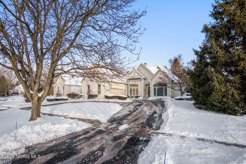 Tiny photo for 7032 Cinnamon Teal Court, Toledo, OH 43617 (MLS # 10003691)