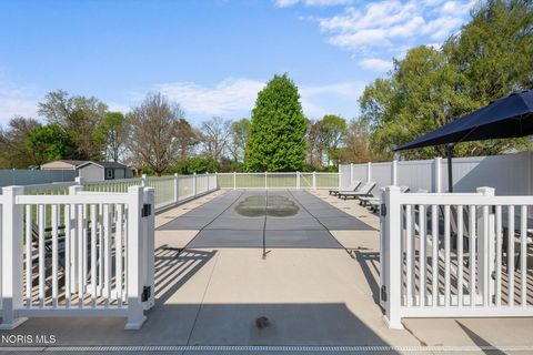 Tiny photo for 8940 S River Road, Waterville, OH 43566 (MLS # 10007275)