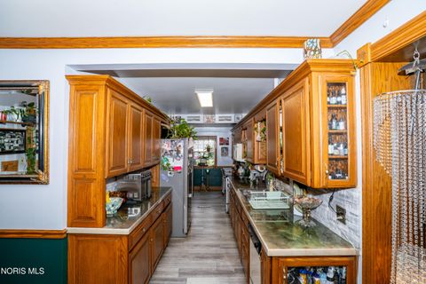 Tiny photo for 133 E Front Street, Napoleon, OH 43545 (MLS # 10010240)