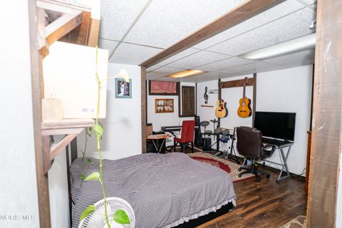 Tiny photo for 133 E Front Street, Napoleon, OH 43545 (MLS # 10010240)