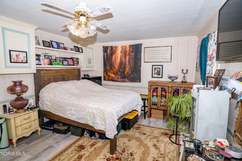 Tiny photo for 133 E Front Street, Napoleon, OH 43545 (MLS # 10010240)