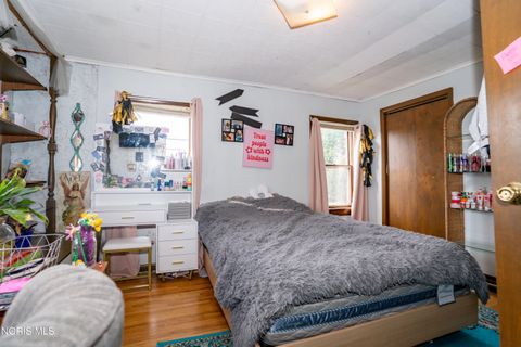 Tiny photo for 133 E Front Street, Napoleon, OH 43545 (MLS # 10010240)