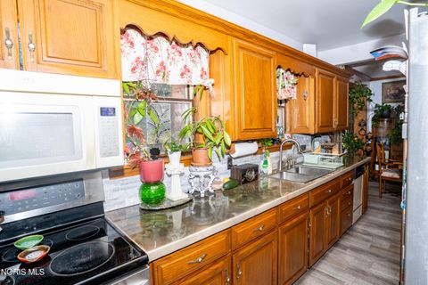 Tiny photo for 133 E Front Street, Napoleon, OH 43545 (MLS # 10010240)
