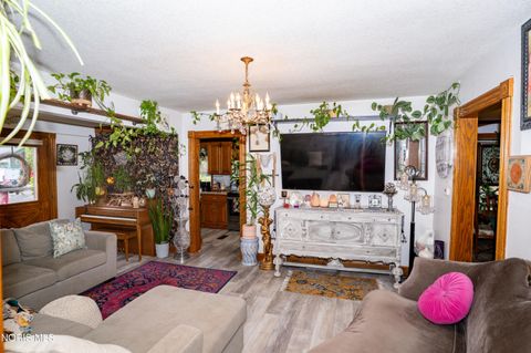 Tiny photo for 133 E Front Street, Napoleon, OH 43545 (MLS # 10010240)
