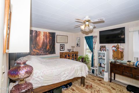 Tiny photo for 133 E Front Street, Napoleon, OH 43545 (MLS # 10010240)