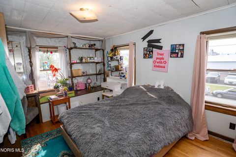 Tiny photo for 133 E Front Street, Napoleon, OH 43545 (MLS # 10010240)