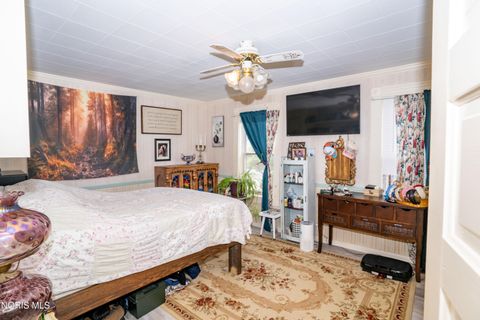 Tiny photo for 133 E Front Street, Napoleon, OH 43545 (MLS # 10010240)