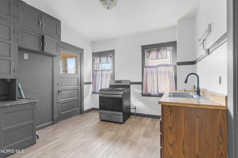 Tiny photo for 421 Cincinnati Street, Toledo, OH 43611 (MLS # 10008588)
