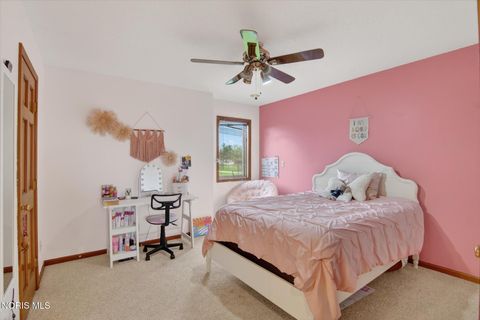 Tiny photo for 5966 County Road 12, Bryan, OH 43506 (MLS # 10007010)