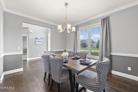 Tiny photo for 9599 Newbury Lane, Whitehouse, OH 43571 (MLS # 10008224)