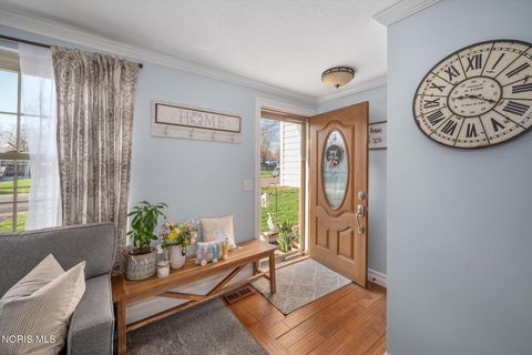 Tiny photo for 11350 Wyndham Drive, Whitehouse, OH 43571 (MLS # 10006058)