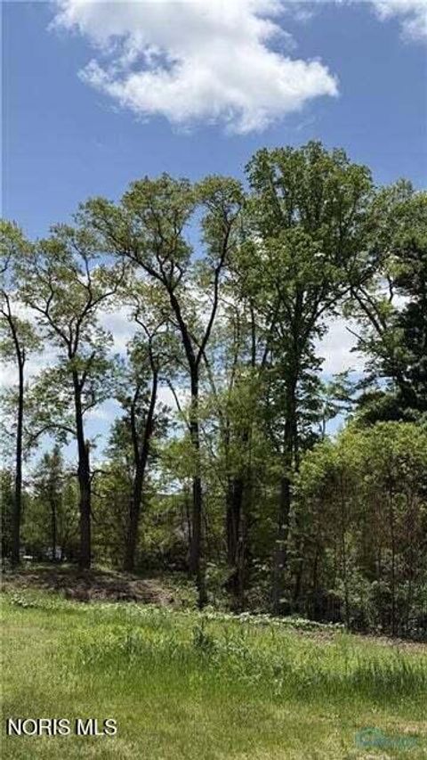 Photo of 6007 Outpost Road, Sylvania, OH 43560 (MLS # 10004773)