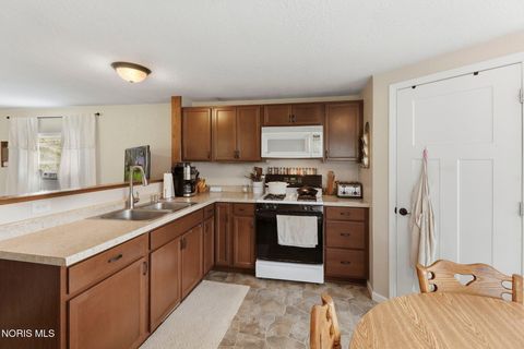 Tiny photo for 10560 Wayne Road, Wayne, OH 43466 (MLS # 10006547)