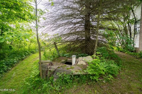 Tiny photo for 2883 County Road 24, Stryker, OH 43557 (MLS # 10008502)
