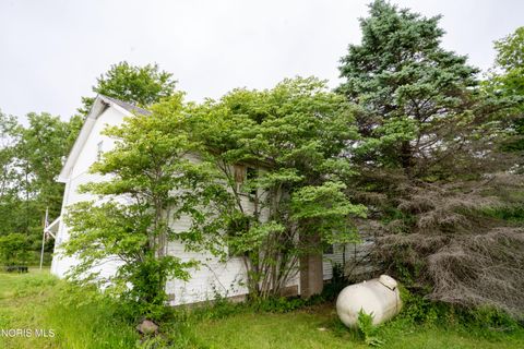 Tiny photo for 2883 County Road 24, Stryker, OH 43557 (MLS # 10008502)
