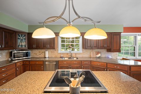 Tiny photo for 0 Black Road, Monclova, OH 43542 (MLS # 10004992)