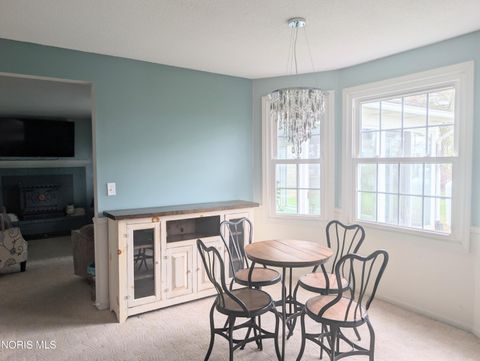 Tiny photo for 481 State Route 66, Archbold, OH 43502 (MLS # 10005719)