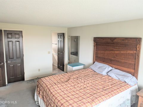 Tiny photo for 481 State Route 66, Archbold, OH 43502 (MLS # 10005719)