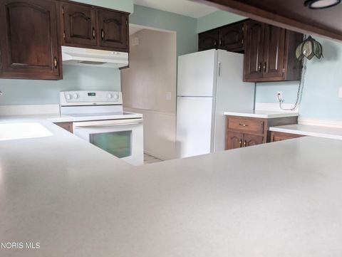 Tiny photo for 481 State Route 66, Archbold, OH 43502 (MLS # 10005719)