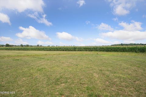 Tiny photo for 9412 Newbury Lane, Whitehouse, OH 43571 (MLS # 10005697)