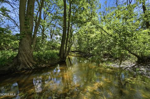 Tiny photo for 8201 Heller Road, Whitehouse, OH 43571 (MLS # 10007796)