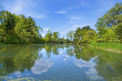 Tiny photo for 8201 Heller Road, Whitehouse, OH 43571 (MLS # 10007796)