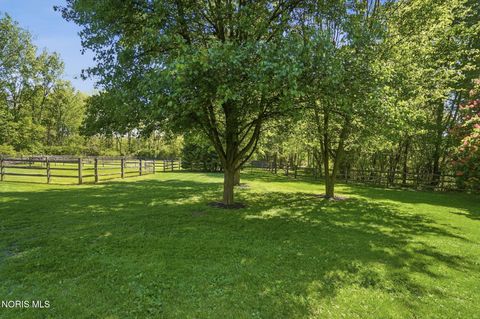 Tiny photo for 8201 Heller Road, Whitehouse, OH 43571 (MLS # 10007796)