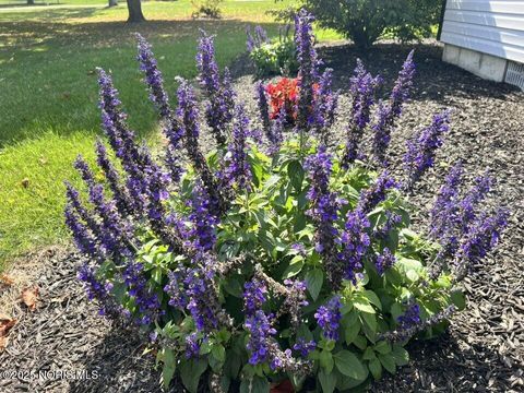 Tiny photo for 309 Alisa Lane, Arlington, OH 45814 (MLS # 10000022)