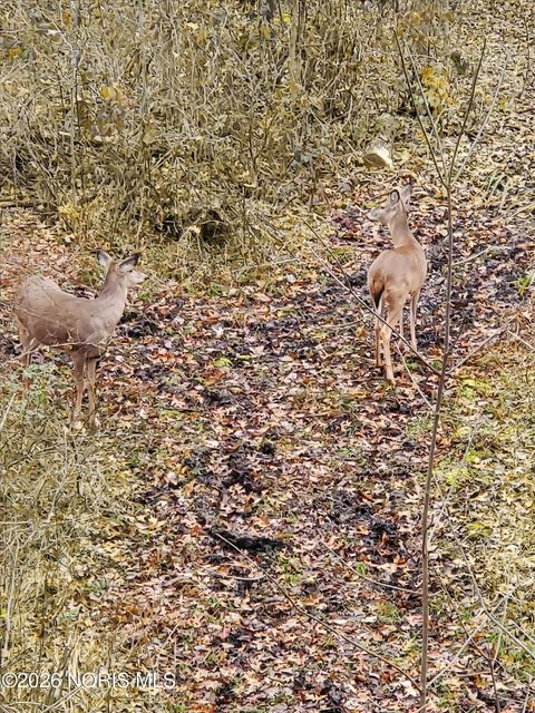 Tiny photo for 11034 County Road M, Wauseon, OH 43567 (MLS # 10003739)