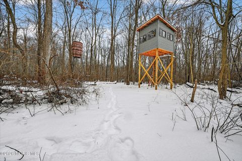 Tiny photo for 11034 County Road M, Wauseon, OH 43567 (MLS # 10003739)