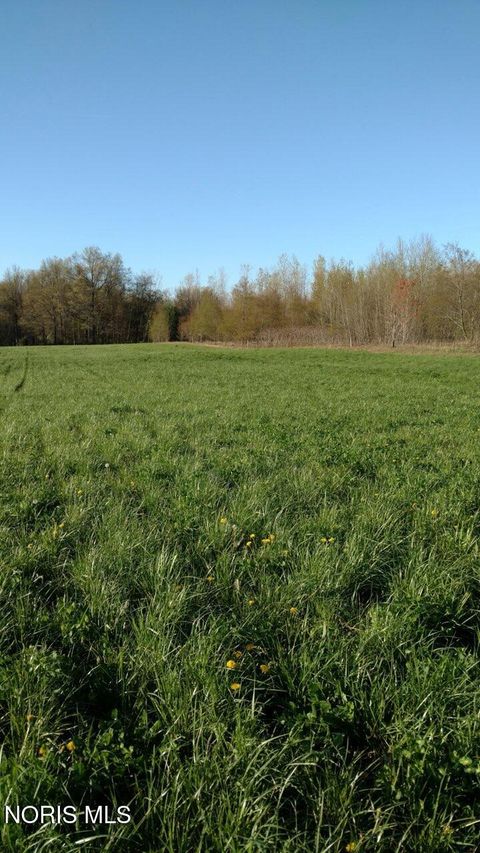 Tiny photo for 1298 County Road T3, Grand Rapids, OH 43522 (MLS # 10006203)